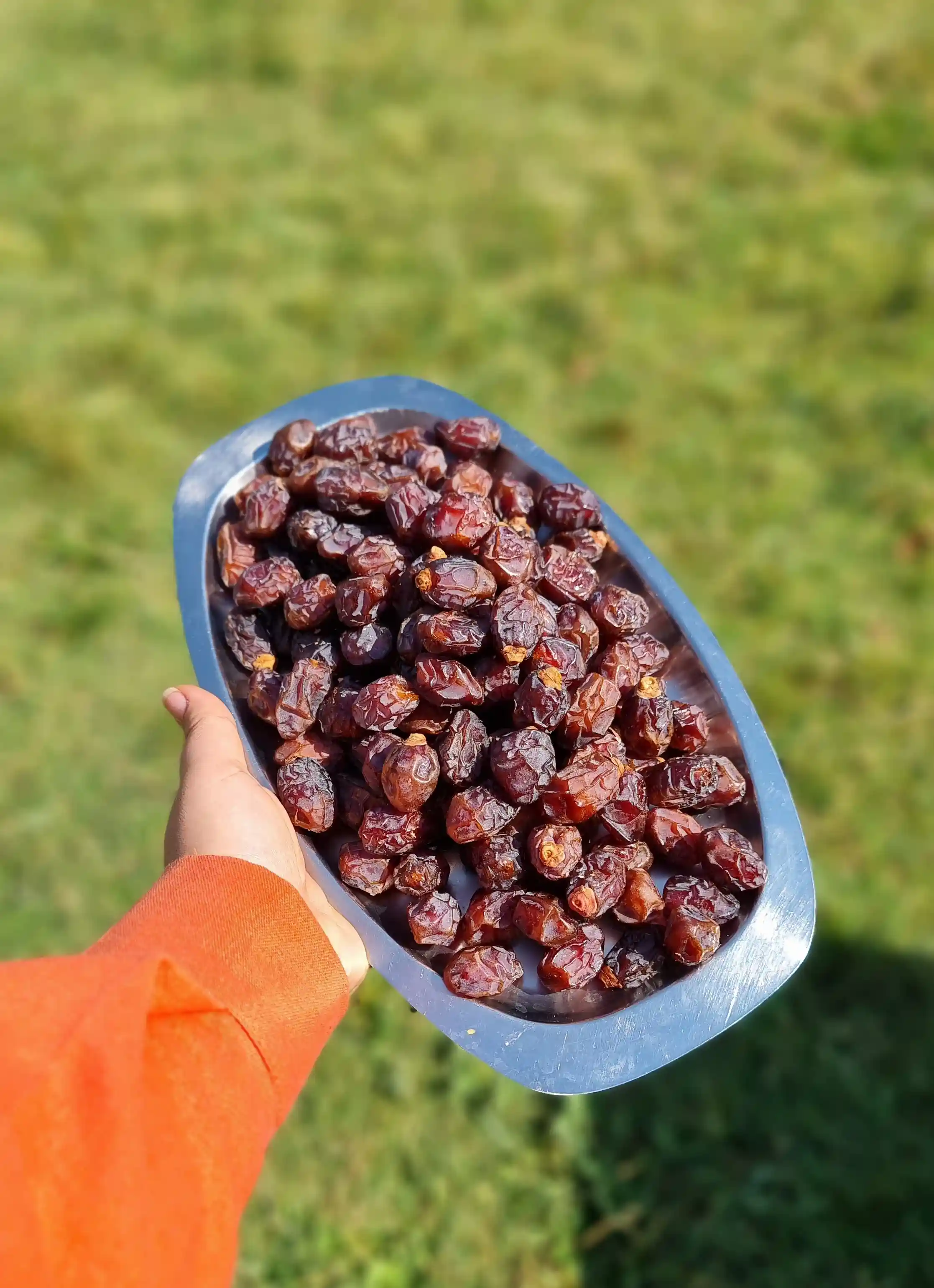 خرما خاصویی